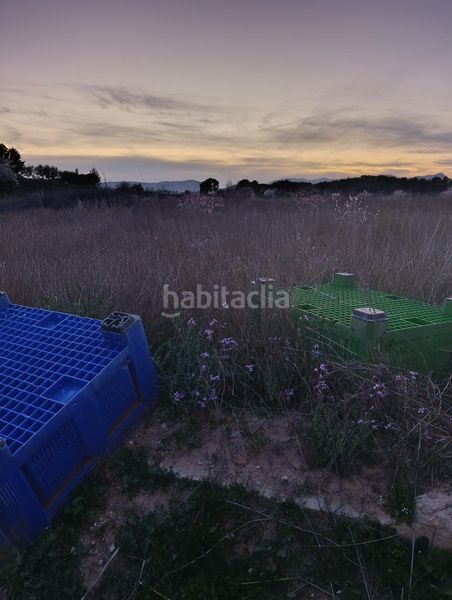 Foto 119695c4-a13f-45fc-8d46-62c2bd480b88. Finca rústica a Cehegín