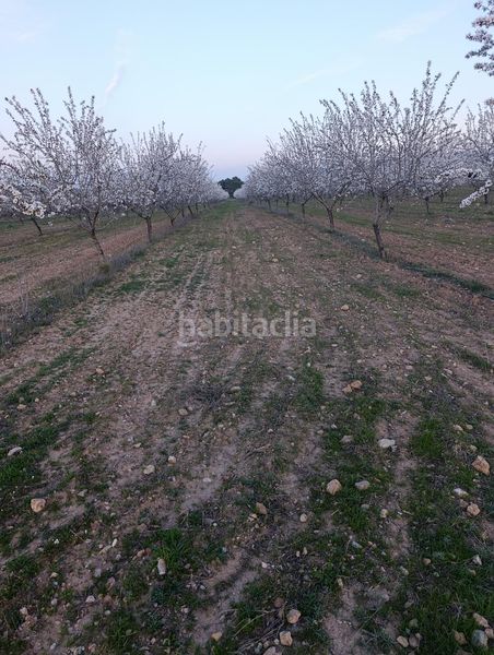 Foto 36c5e425-5cff-4154-945b-aa89b87fa647. Finca rústica a Cehegín