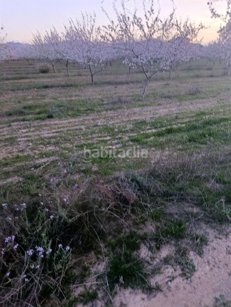 Foto 487672a6-962a-4e70-9ae6-e227d2574a7f. Finca rústica a Cehegín