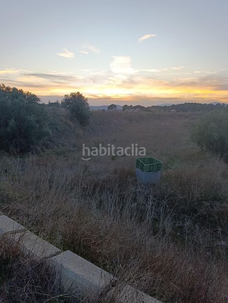 Foto 513b1b9d-2a38-44bc-b0e1-be013c116f51. Finca rústica a Cehegín