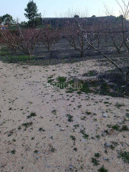 Foto 54c5aac8-1fb9-49ea-b229-1f36dd65447d. Finca rústica a Cehegín
