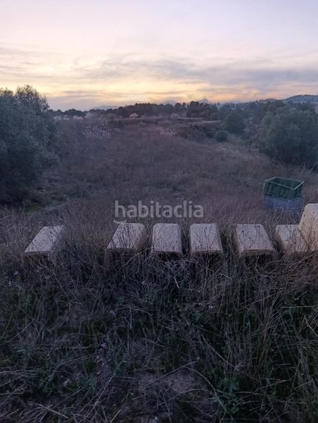 Foto 6455ba21-0cad-44f7-97bc-e202d82462ff. Finca rústica a Cehegín