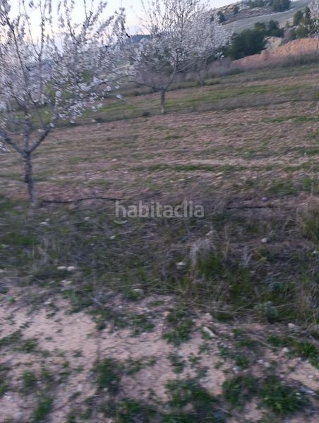 Foto 8465f215-2c6a-4c9c-ba24-092685237e88. Finca rústica a Cehegín
