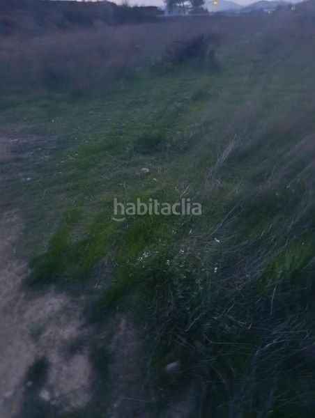Foto 9f7a0167-2758-4a8e-bdfe-470196d6297d. Finca rústica a Cehegín