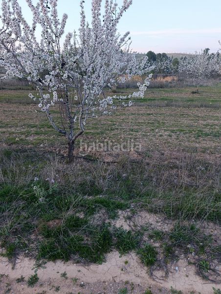 Foto a03dd82c-f090-4601-b834-4e46f82ae98b. Finca rústica a Cehegín