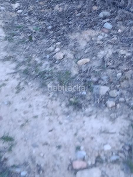 Foto a0f03598-8941-4a4c-8e77-6a113fe60bad. Finca rústica a Cehegín