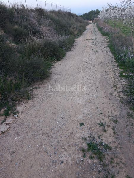 Foto d96efe40-2bd8-4ee3-b0a4-47617a845a76. Finca rústica a Cehegín