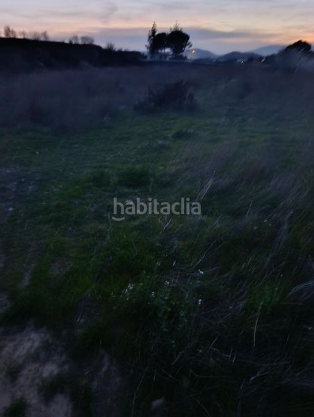 Foto dc5254e9-f7c2-493e-8d31-929b85c5e9bd. Finca rústica a Cehegín