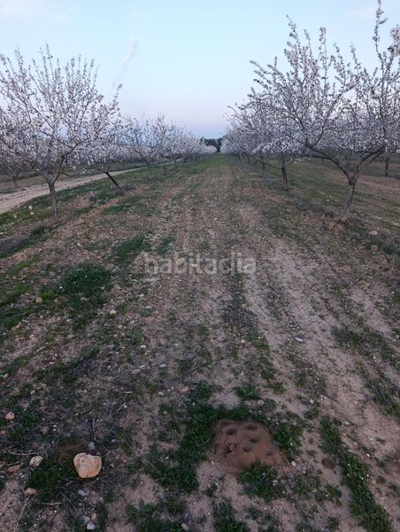 Foto de89ce19-59ba-4a44-af0d-c3b22b82e6dd. Finca rústica a Cehegín