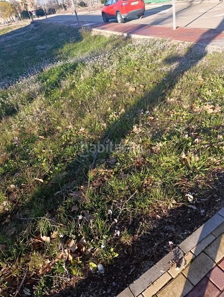 Foto 378e9d97-b430-4cff-b08b-c4ab10ae9d7f. Terreny residencial a Bullas