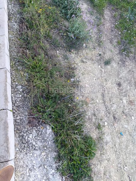 Foto 75b4326e-d3fc-4566-90f0-a6c8f56145bd. Terreny residencial a Bullas