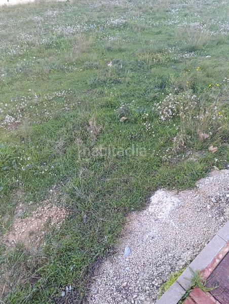 Foto 96528fb5-7327-44c0-bc00-050b4095fb28. Terreny residencial a Bullas
