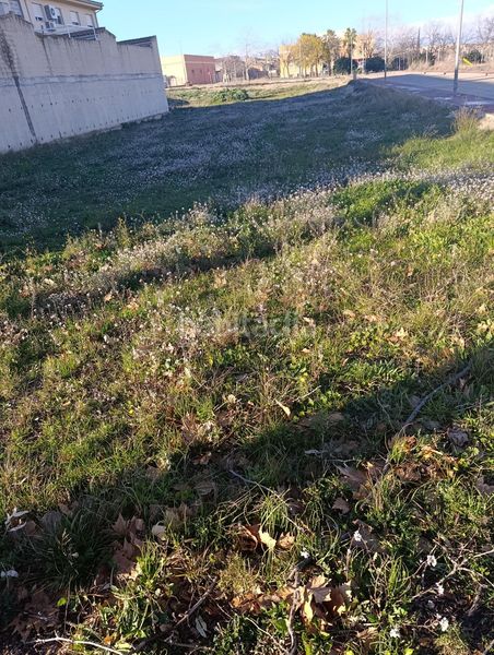 Foto ceae7c9c-6231-4488-a742-4ae3bd5a9f77. Terreny residencial a Bullas