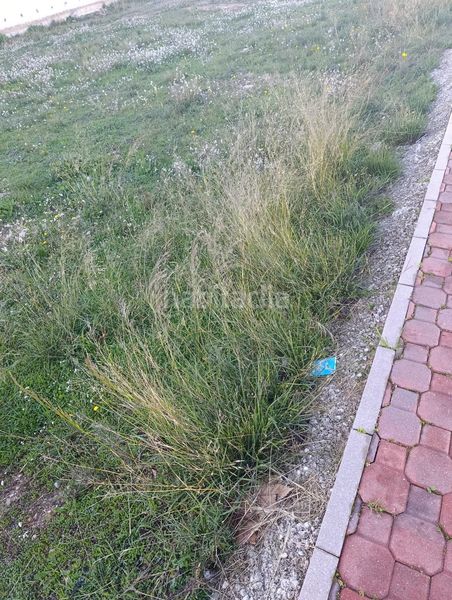 Foto e910b317-c317-4853-8ef4-b3cf588418d4. Terreny residencial a Bullas