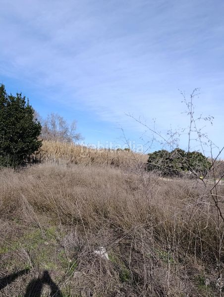 Foto ad4238cc-7083-4bd5-b0d8-733072d8bdf2. Finca rústica a Cehegín