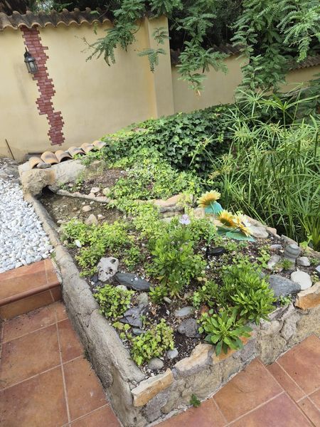 Foto a0fd1a98-9a57-4b77-8916-09538ee6740c. Casa amb aparcament a Alguazas