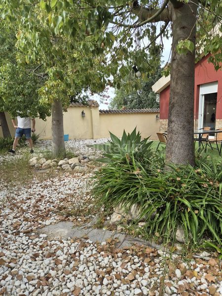 Foto c2b73cf4-db06-47d8-bcc2-303890a9e716. Casa amb aparcament a Alguazas