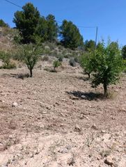 Landgut in Cehegín. Terreno rústico de 6.681 m2 en cehegín  paraje el chaparral
