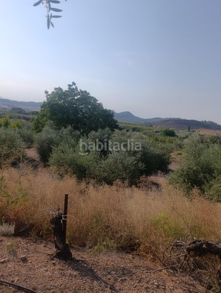 Foto 09361483-e59e-42a0-a5cf-b8bb17fe852b. Masia a Bullas