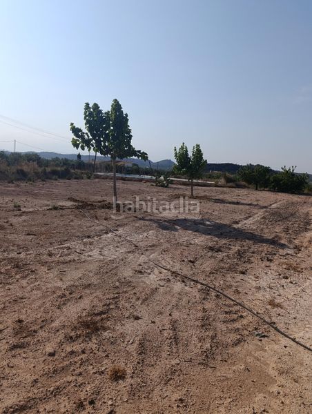 Foto 56eb93cd-9530-4714-954a-70ba11f10839. Masia a Bullas