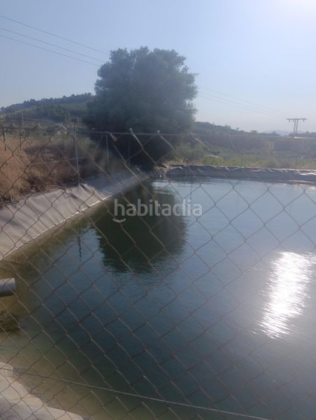 Foto 7585d7d5-5fb7-49c4-a0a6-b8caf710173d. Masia a Bullas
