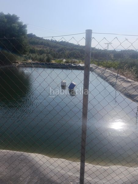 Foto f4777085-776a-45af-9e81-40dfafe3fd3f. Masia a Bullas