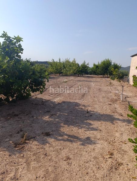 Foto fd7a547e-cfae-43a4-b3c1-330511221f0d. Masia a Bullas