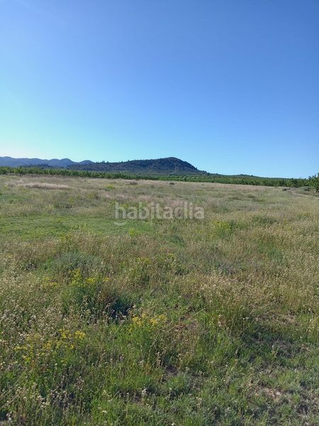 Foto 07883919-b31e-4d64-9599-4556ca5ca87a. Terreny residencial a Ricote