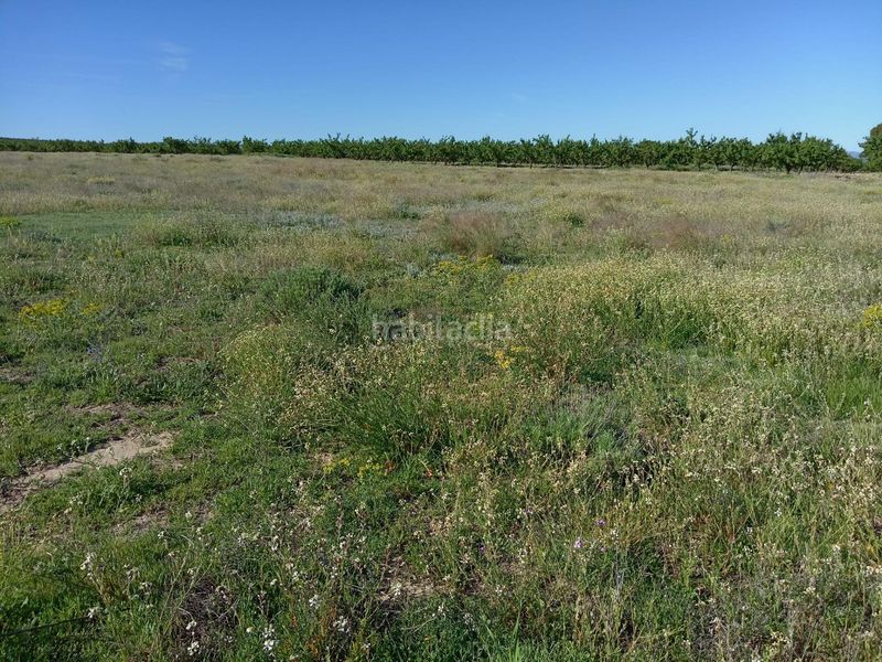 Foto cb0f207f-124c-46e0-a109-e28e25f90bf8. Terreny residencial a Ricote