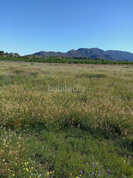 Foto d37f66eb-9c41-43c3-a263-fba49b7b9170. Terreny residencial a Ricote