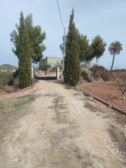 Masía en Cehegín. Finca rústica de 4 hectáreas con olivar, frutales, agua propia y