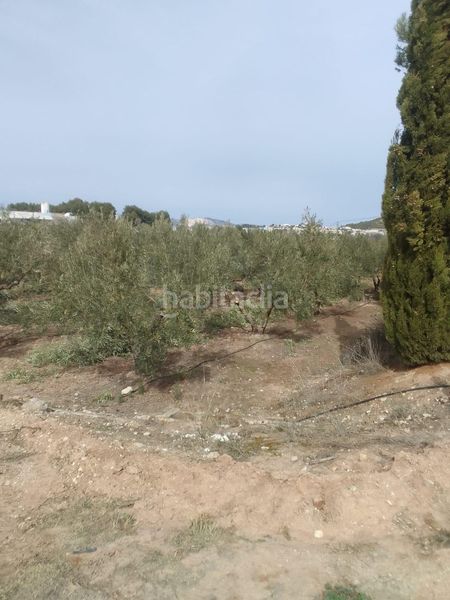 Foto 2a5b8472-c8fc-4408-ae10-f1d941e8b750. Mas dans Cehegín