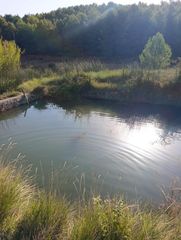 Masia a Avilés. Finca rústica de 4,7 hectáreas en la berquilla cehegín