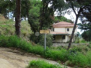 Casa  Vallromanes. Teia tapiada, no se puede visitar