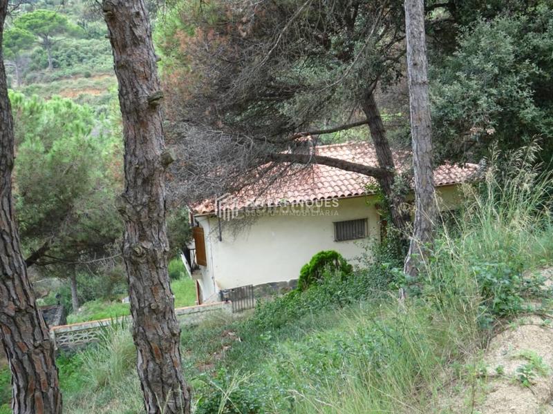 Foto 2f8d4d52-c045-45c5-b42d-7ca0869461d8. Maison dans Teià