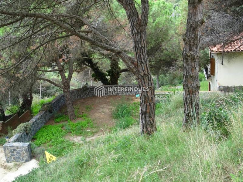 Foto 84191d57-566f-462e-87cf-1452029fa94e. Maison dans Teià