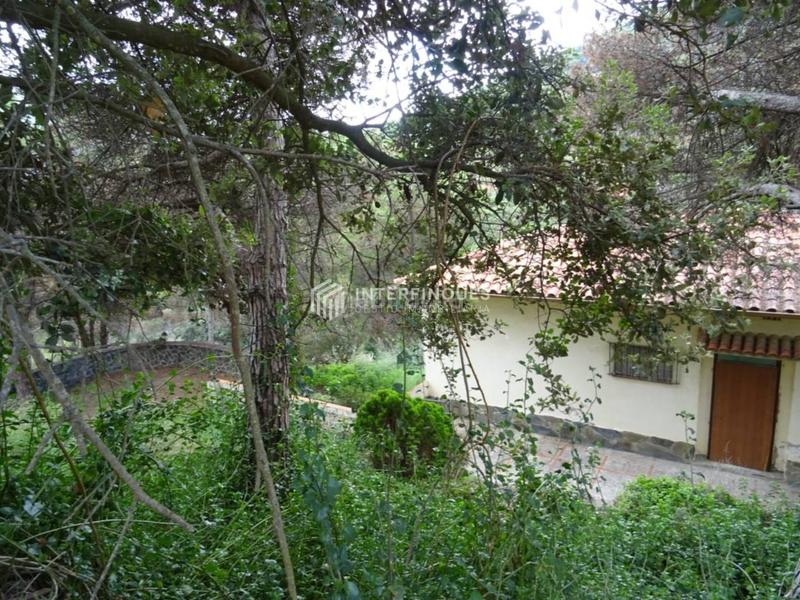 Foto ba67d562-b444-4e7b-bd72-1ec50668c4a6. Maison dans Teià