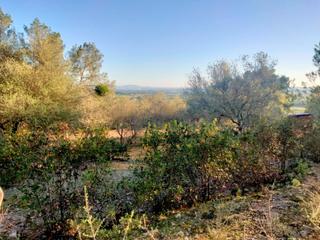 Residential Plot in Porreres