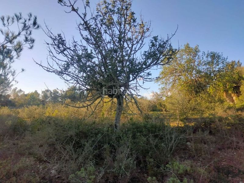 Foto fa811aee-143d-4ccf-b2d4-a4c8d13879fc. Finca rústica a Porreres