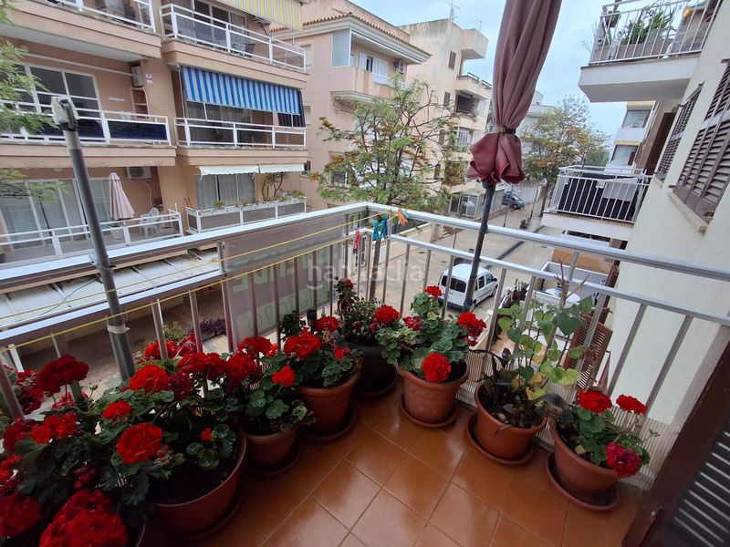 Foto 11e9d091-9ca1-4cb5-a8ed-4e5c0b2046a3. Flat in Cala Millor Son Servera