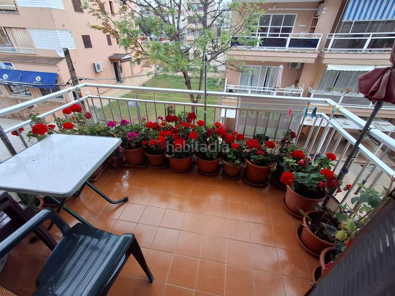 Foto 23d3f2d4-3810-4492-8b65-3a0ba0d085f3. Flat in Cala Millor Son Servera
