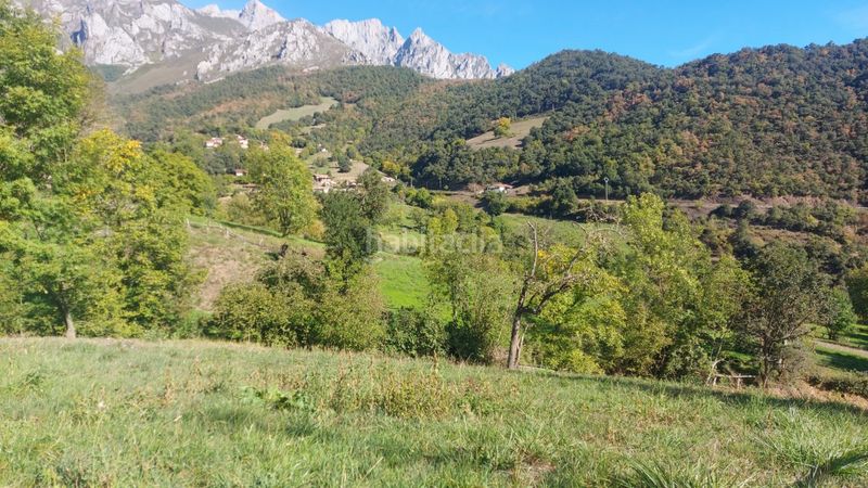 Foto b41f9f60-044f-4c8c-a7ed-8199ec4422a6. Finca rústica parcela rustica urbanizable en Camaleño