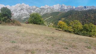 Finca rústica a Camaleño. Venta terreno rústico ubanizable