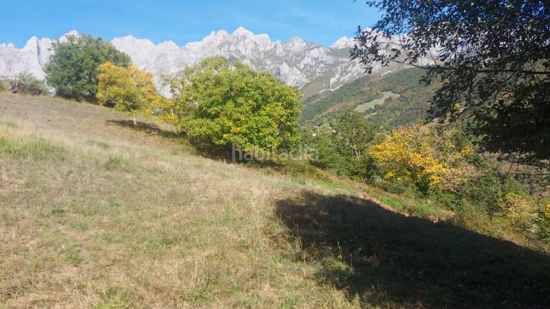 Foto f9d8ed02-a403-4655-9071-decb6571e5fa. Finca rústica a Camaleño
