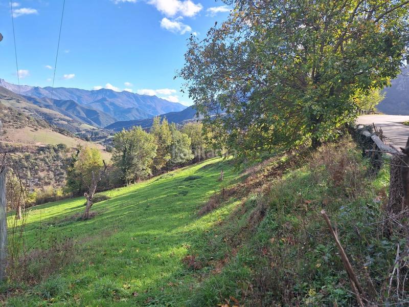 Foto f2b29652-0663-4078-ae65-a0618a4a195e. Terreno residencial terreno urbanizable en picos de europa en Camaleño