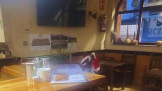Local Comercial a Ampuero. Bar en venta en ampuero