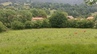 Terreny residencial a Corrales de Buelna (Los). Finca urbana en venta en coo  los corrales de buelna
