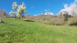 Finca rústica a Camaleño. Venta de terreno rústico urbanizable en liébana