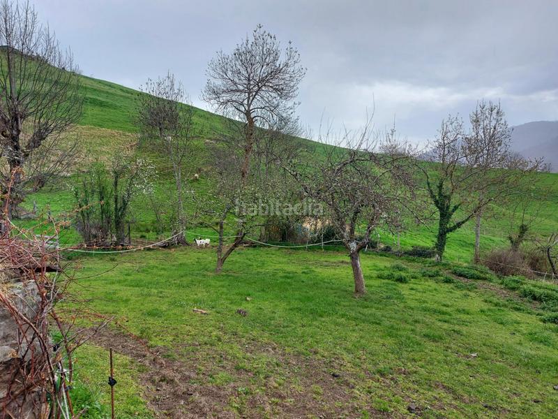 Foto 351a4e42-dc9d-4dc4-8062-097a0be02d0b. Casa  con parcela en picos de europa en Camaleño