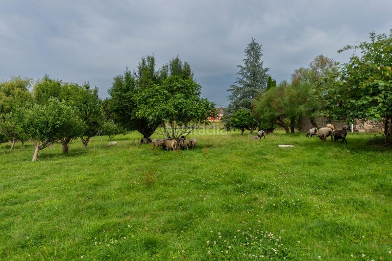 Foto a71fc2f9-b400-41e0-a531-2a06829c69c5. Casa amb aparcament a Villaescusa